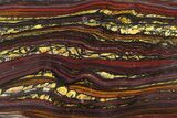 Polished Tiger Iron Stromatolite Slab - Billion Years #317906-1